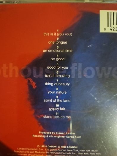 Hothouse Flowers - Songs From The Rain.