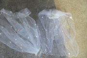 Hen party veil
