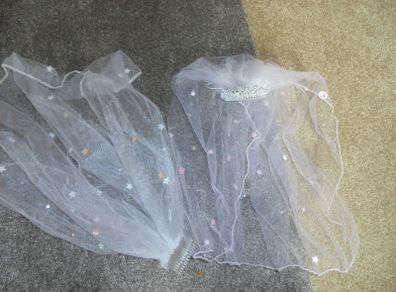 Hen party veil