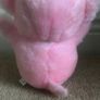 Pink Teddy Image 3