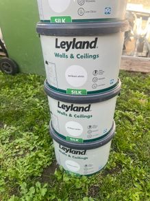 Leyland wall and ceiling paint brilliant white silk