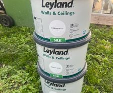 Leyland wall and ceiling paint brilliant white silk