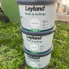 Leyland wall and ceiling paint brilliant white silk