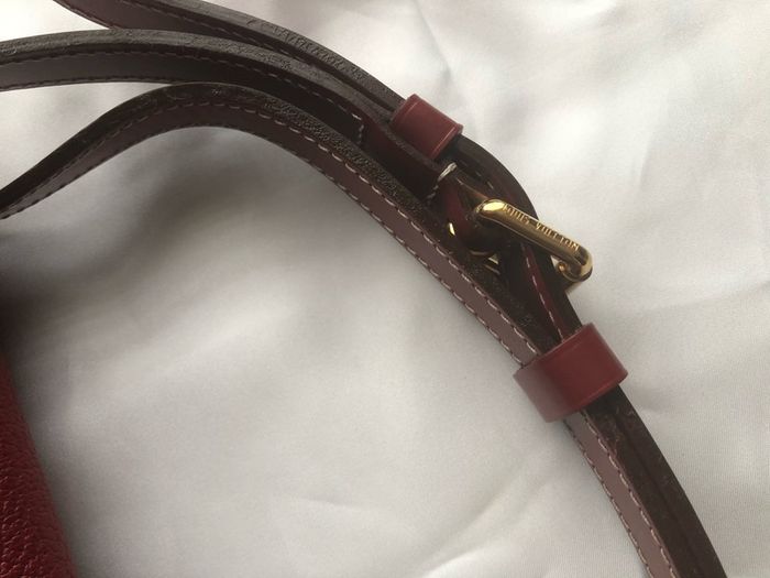 Louis Vuitton Suhali L'Essentiel PM bag