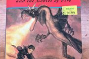 Harry Potter and The Goblet Of Fire by J K Rowling