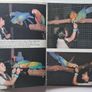 Taming and Training Macaws (P+P incl) Image 4