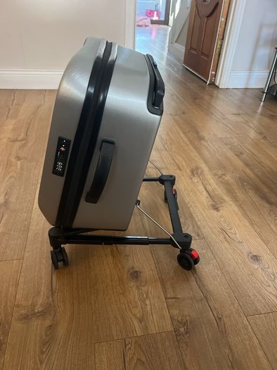 mountain buggy skyrider travel case