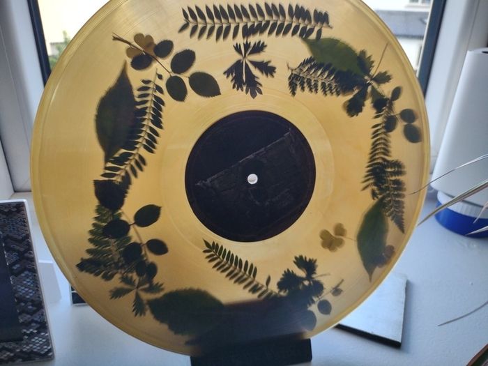 Dermot Kennedy "The Weight Of The Woods" Vinyl - Limited Woodland Green Edition LP - Rare 180g Collectible - Irish Indie-Pop Exclusive
