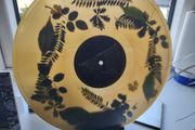 Dermot Kennedy "The Weight Of The Woods" Vinyl - Limited Woodland Green Edition LP - Rare 180g Collectible - Irish Indie-Pop Exclusive