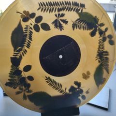 Dermot Kennedy "The Weight Of The Woods" Vinyl - Limited Woodland Green Edition LP - Rare 180g Collectible - Irish Indie-Pop Exclusive