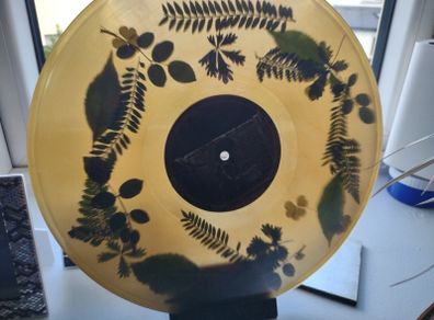 Dermot Kennedy "The Weight Of The Woods" Vinyl - Limited Woodland Green Edition LP - Rare 180g Collectible - Irish Indie-Pop Exclusive