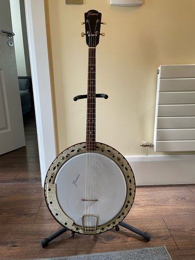 Banjo repair and set up