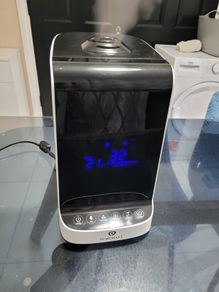 Humidifier with ioniser