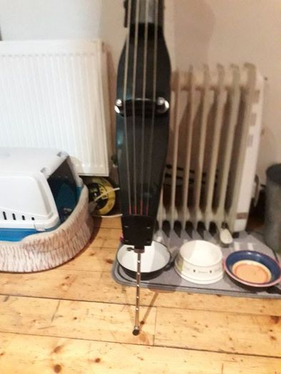 Stand up bass