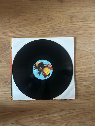 Tyler the creator - Flower boy, vinyl