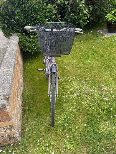 ladies raleigh bike