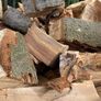Firewood logs Image 8