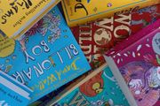 David Walliams' books for children - 20 books.