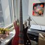 Spector Legend Neck-thru Image 2