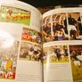 2002. Mick McCarthy. Ireland's World Cup. 2002. Image 4