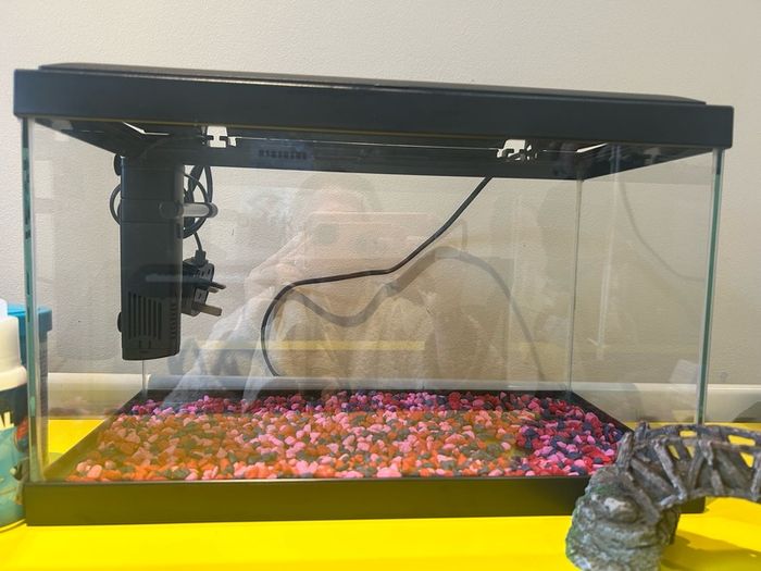 fish tank