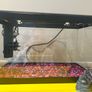 fish tank Image 2