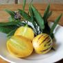 (M) Melon Fruit Pepino seeds (10s) Melon Pear (210701) Image 2
