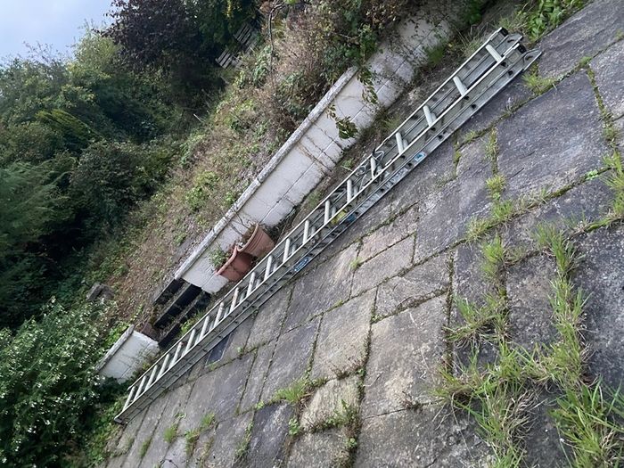 20ft Double Extension ladder
