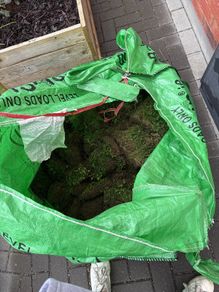 Soil/grass