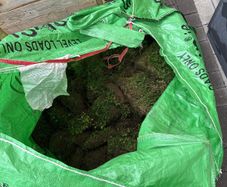 Soil/grass
