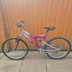 Ladies bike