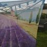 Mediterranean Style Loop Curtain Image 5