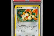 Meowth 013 PSA 6 EX-MT Graded Holo Nintendo Black Star Promos Pokemon Card