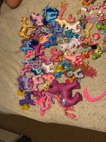 Pony