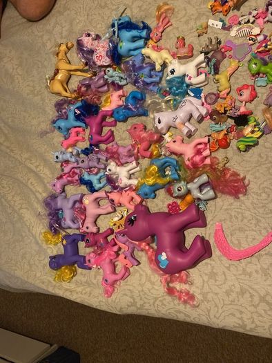 Pony
