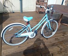 lady's bike