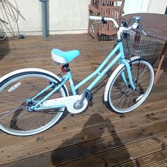 lady's bike