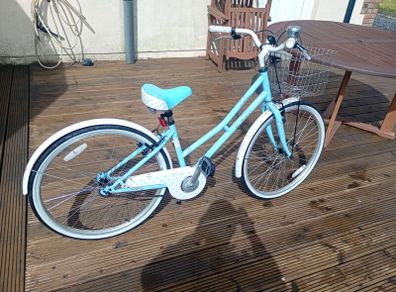 lady's bike