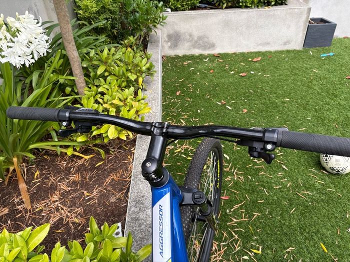 GT Aggressor 29" frame Mountain Bike