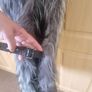 fur west Image 2
