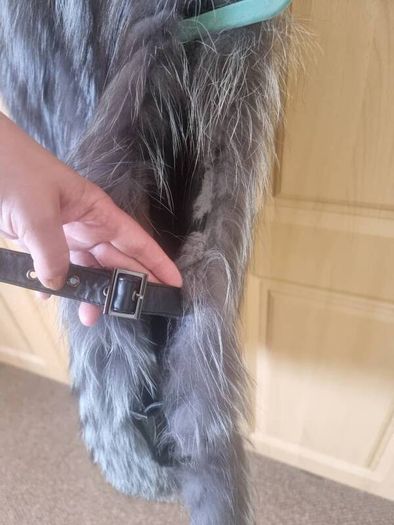 fur west