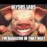 Flynnick