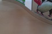 Curve photo or card holder