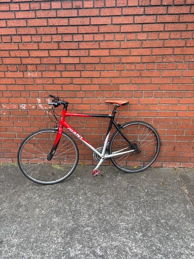giant bike