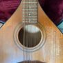 Sherwood Mandolin Image 4