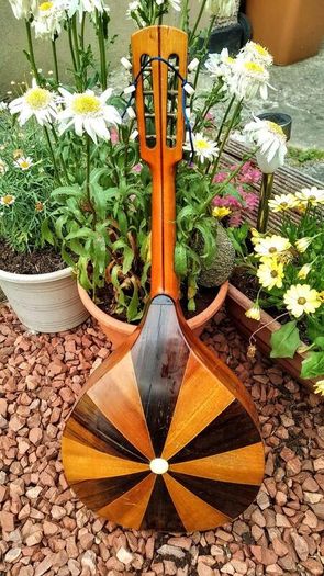 Mandolin