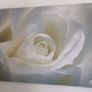 Canvases x 5 Image 4