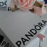 Brand new genuine pandora clip bracelet 19cm Image 6