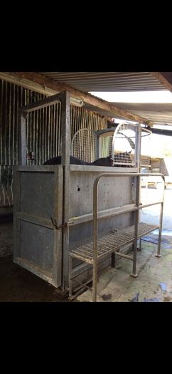 Equine Hydrotherapy Spa