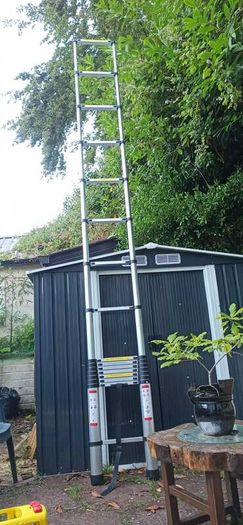 Telescopic extension ladder